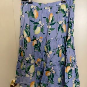 Ann Taylor skirt